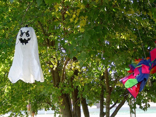 декор двора для Хэллоуина